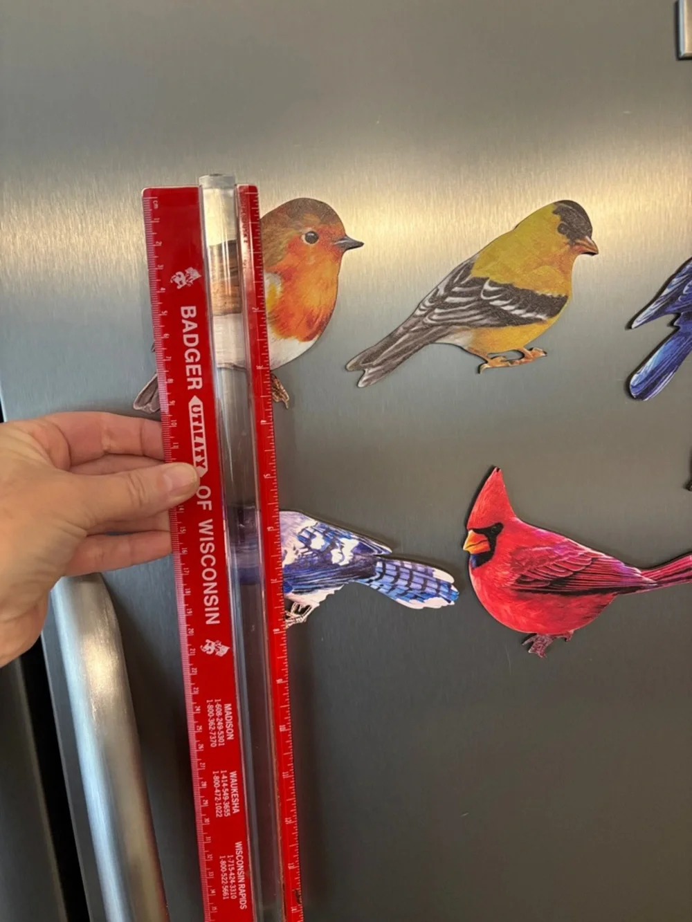 6🐦⬛Bird Magnet‎ Set - Colorful Decorative Bird Magnets for Fridge
